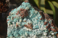 Natural Drusy Chrysocolla Dolomite Specimen x 1 From Likasi, Congo