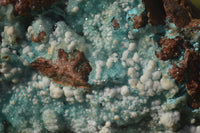 Natural Drusy Chrysocolla Dolomite Specimen x 1 From Likasi, Congo