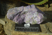 Natural Rough Stichtite & Serpentine Specimens x 4 From Barberton, South Africa