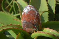 Polished Red Jasper Standing Free Forms  x 3 From Southern Africa