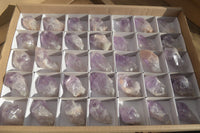 Natural Jacaranda Amethyst Crystals x 35 From Mumbwe, Zambia