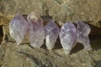 Natural Jacaranda Amethyst Crystals x 35 From Mumbwe, Zambia