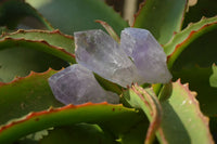 Natural Jacaranda Amethyst Crystals x 35 From Mumbwe, Zambia