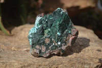 Natural Drusy Chrysocolla & Malachite Dolomite Specimens x 4 From Likasi, Congo