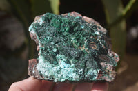 Natural Drusy Chrysocolla & Malachite Dolomite Specimens x 4 From Likasi, Congo