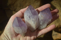 Polished Amethyst Crystals x 12 From Mumbwe, Zambia