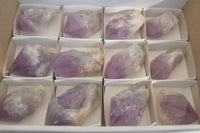 Polished Amethyst Crystals x 12 From Mumbwe, Zambia