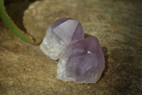 Polished Amethyst Crystals x 12 From Mumbwe, Zambia