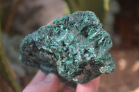 Natural Chatoyant Silky Malachite Specimens  x 4 From Kasompe, Congo