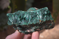 Natural Chatoyant Silky Malachite Specimens  x 4 From Kasompe, Congo