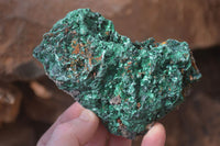 Natural Chatoyant Silky Malachite Specimens  x 4 From Kasompe, Congo