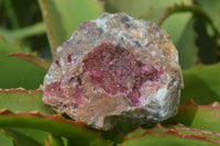 Natural Pink Salrose Cobaltion Dolomite Specimens x 6 From Kakanda, Congo