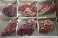 Natural Pink Salrose Cobaltion Dolomite Specimens x 6 From Kakanda, Congo