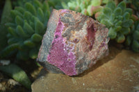 Natural Pink Salrose Cobaltion Dolomite Specimens x 6 From Kakanda, Congo