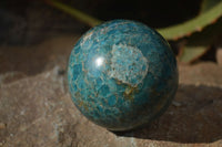 Polished Blue Apatite Spheres  x 3 From Betroka, Madagascar