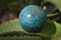 Polished Blue Apatite Spheres  x 3 From Betroka, Madagascar