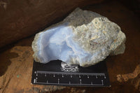 Natural Blue Lace Agate Geode Specimens  x 5 From Nsanje, Malawi