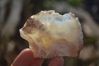 Natural Rough Dendritic White Opal Specimens  x 24 From Madagascar