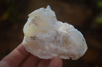 Natural Rough Dendritic White Opal Specimens  x 24 From Namibia