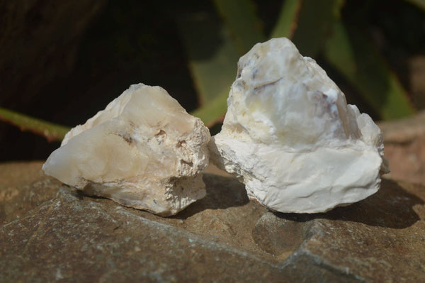 Natural Rough Dendritic White Opal Specimens  x 24 From Namibia