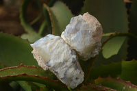 Natural Rough Dendritic White Opal Specimens  x 24 From Namibia