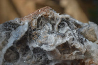 Natural Large Bladed Baryte Specimen  x 1 From Congo