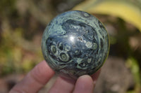 Polished Stromatolite Spheres  x 6 From Madagascar