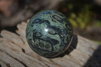 Polished Stromatolite Spheres  x 6 From Madagascar