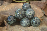 Polished Stromatolite Spheres  x 6 From Madagascar