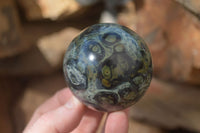 Polished Stromatolite Spheres  x 6 From Madagascar