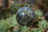 Polished Stromatolite Spheres  x 6 From Madagascar