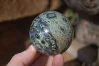 Polished Stromatolite Spheres  x 6 From Madagascar