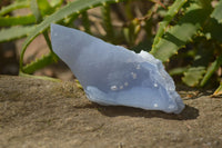 Natural Etched Blue Chalcedony Specimens  x 12 From Nsanje, Malawi