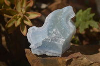 Natural Etched Blue Chalcedony Specimens  x 12 From Nsanje, Malawi