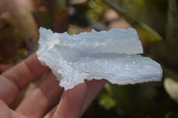 Natural Etched Blue Chalcedony Specimens  x 12 From Nsanje, Malawi