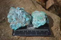 Natural Drusy Chrysocolla & Malachite Dolomite Specimens x 12 From Likasi, Congo