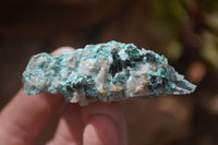 Natural Drusy Chrysocolla & Malachite Dolomite Specimens x 12 From Likasi, Congo