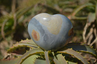 Polished Polychrome Jasper Hearts  x 6 From Mahajanga, Madagascar