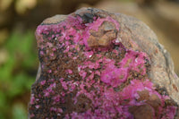 Natural Pink Salrose Cobaltion Dolomite Specimens x 4 From Kakanda, Congo