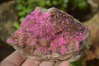 Natural Pink Salrose Cobaltion Dolomite Specimens x 4 From Kakanda, Congo