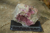 Natural Pink Salrose Cobaltion Dolomite Specimens x 4 From Kakanda, Congo