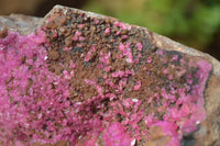 Natural Pink Salrose Cobaltion Dolomite Specimens x 4 From Kakanda, Congo