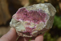 Natural Pink Salrose Cobaltion Dolomite Specimens x 4 From Kakanda, Congo