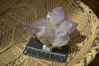 Natural Amethyst Clusters x 6 From Zambia