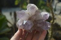 Natural Amethyst Clusters x 6 From Zambia