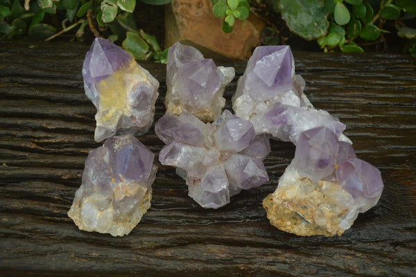 Natural Amethyst Clusters x 6 From Zambia