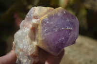 Natural Amethyst Clusters x 6 From Zambia