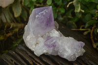 Natural Amethyst Clusters x 6 From Zambia