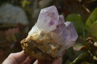 Natural Amethyst Clusters x 6 From Zambia