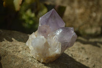 Natural Amethyst Clusters x 6 From Zambia